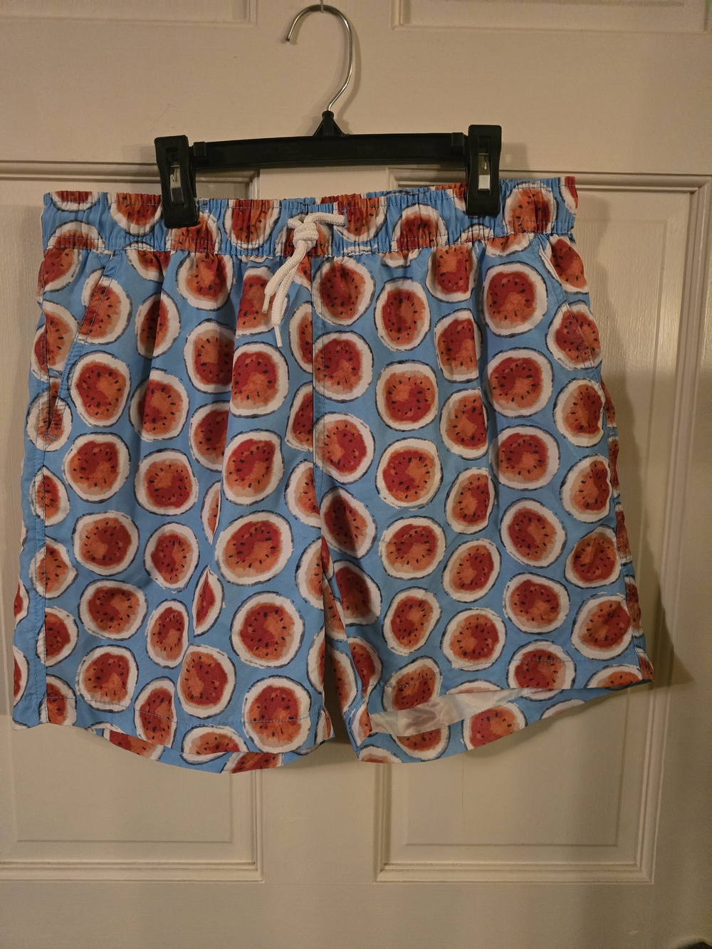 TED LAPIDUS Mens Swim Shorts L Blue Fruit Print Drawstring Elastic Waist #283